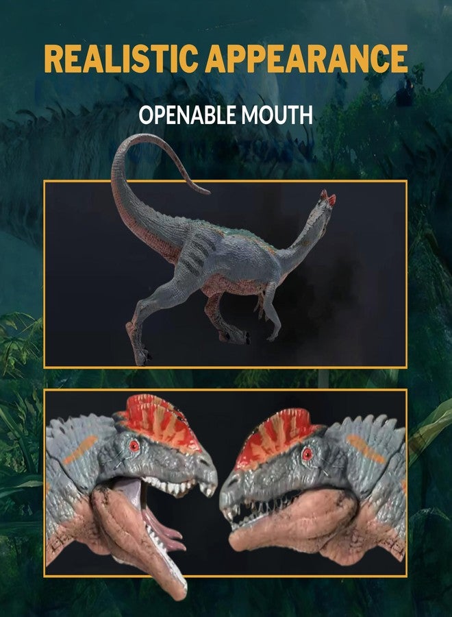 CRYA Dilophosaurus Toy Dinosaur Action Figure, Realistic Dilophosourus Big Dinosaurs Toys for Kids, Dilophosaurus Dinosaur Toy for Play and Display, Jurassic Dino Toys for Boys & Girls (Dilophosaurus) - Image 2